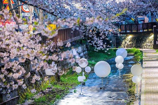 2026 진해군항제 전경 사진