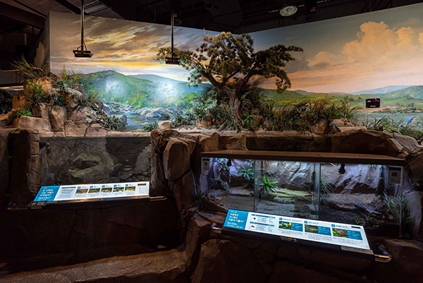 국립대구과학관 전경 사진