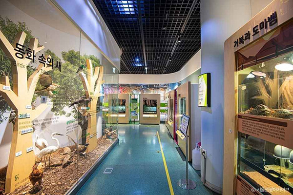 국립어린이과학관 사진