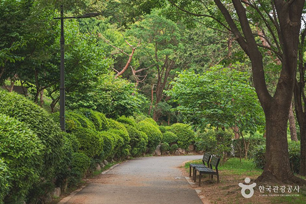 서울 남산야외식물원 숲길 산책로 풍경과 벤치가 있는 자연 산책 코스