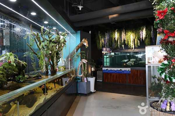 몬스터리움 대표 사진