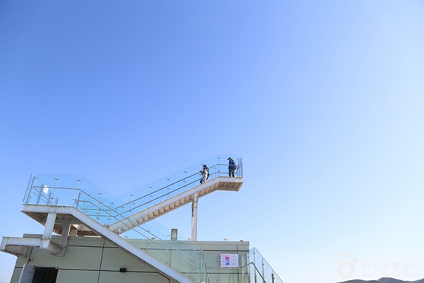 몬스터리움 전경 사진