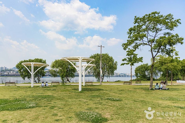 잔디밭 위 독특한 원형 그늘막 아래에서 시민들이 휴식을 취하고 있는 반포한강공원