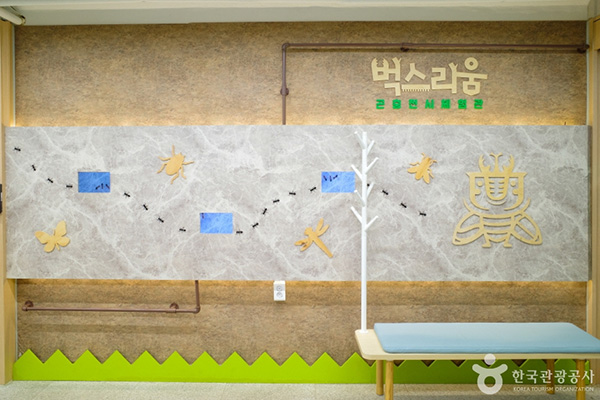 벅스리움 곤충 테마 휴식 공간 벽면 전시

