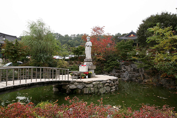 연못 위 돌다리와 단풍 든 나무들 사이에 서 있는 봉은사 관세음보살상
