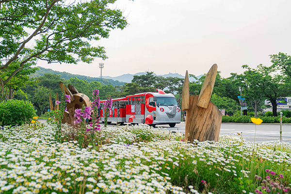 서울대공원 꽃밭 옆길을 지나가는 코뿔소 모양의 귀여운 코끼리열차