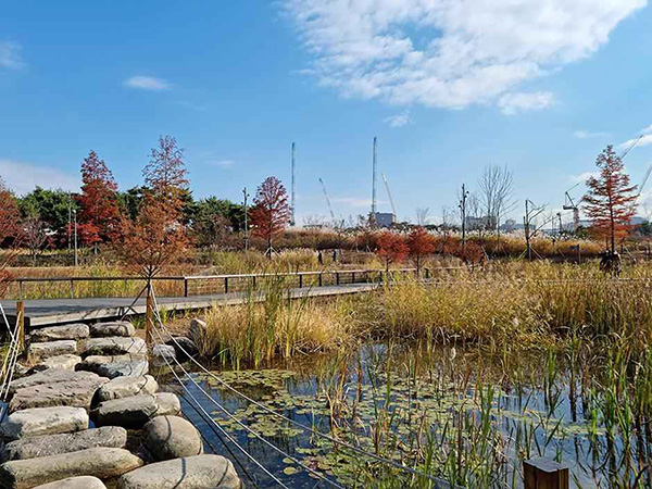 서울식물원 사진