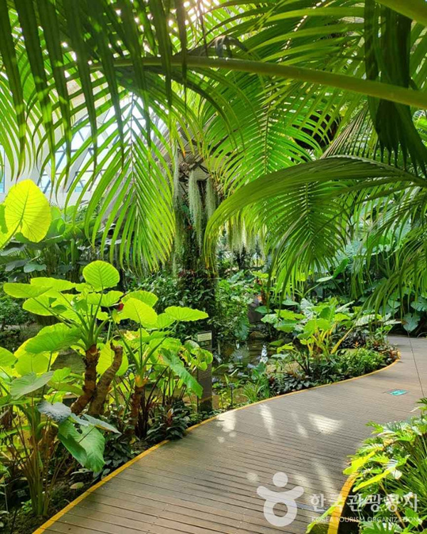 서울식물원 사진