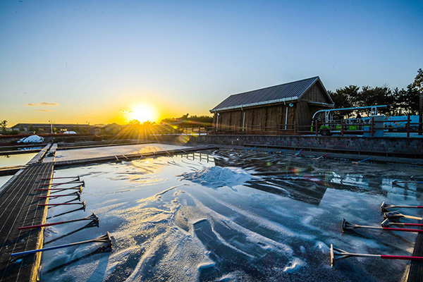 시흥 갯골생태공원 염전체험장