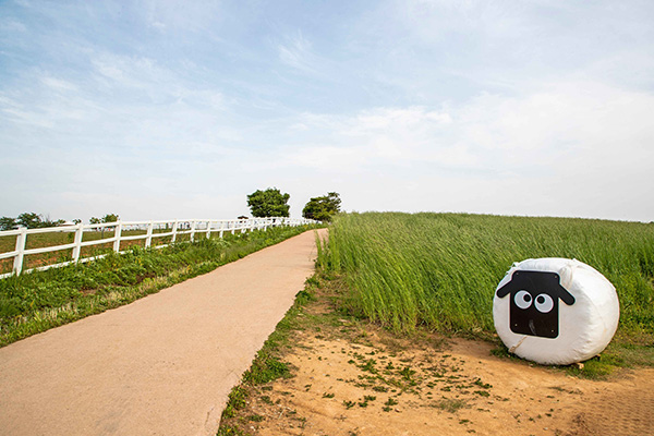 안성팜랜드 산책로와 초원, 양 캐릭터 조형물