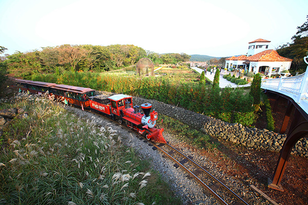 제주 에코랜드 테마파크 기차가 숲길을 따라 운행하는 모습