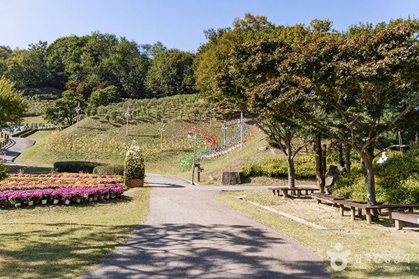 용인농촌테마파크의 푸른 나무와 꽃들로 꾸며진 야외 산책로 전경