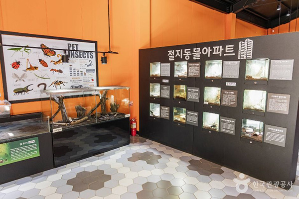 용인농촌테마파크 곤충전시관 내부의 절지동물 아파트 및 곤충 사육장 전경