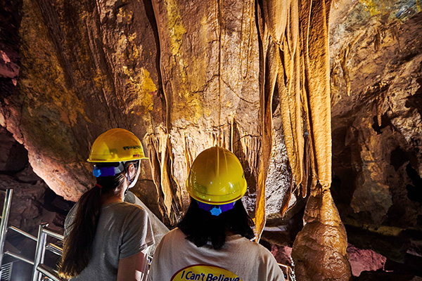 천곡황금박쥐동굴 사진