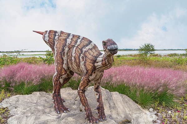 해남공룡박물관 사진