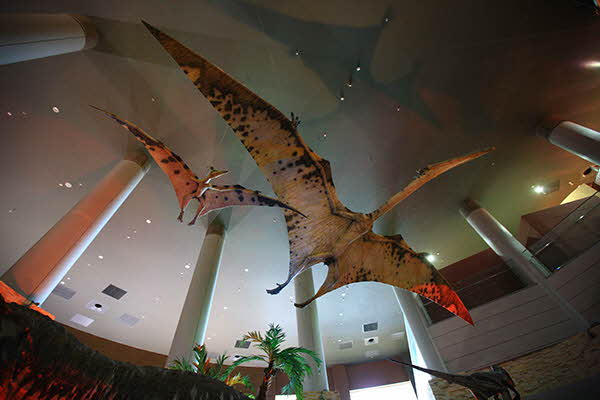 해남공룡박물관 사진